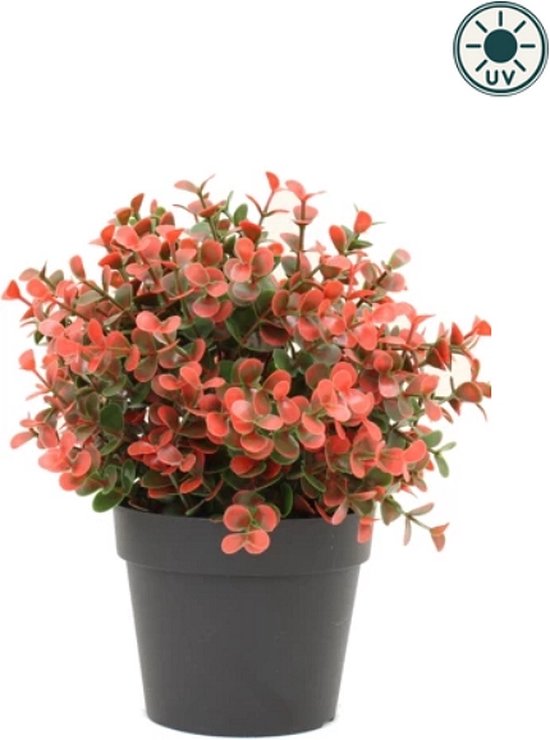 Kunstplant Buxus rood in pot 19 cm UV (voor binnen en buiten)