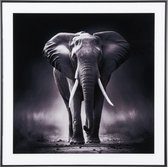 Present Time Wanddecoratie Elephant - Zwart - 2x50x50cm - Modern