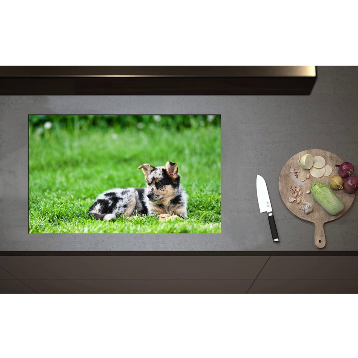 Inductieplaat Beschermer - Australische Herder Puppy Liggend in het Groene Grasveld - 80x50 cm - 2 mm Dik - Inductie Beschermer - Bescherming Inductiekookplaat - Kookplaat Beschermer van Zwart Vinyl