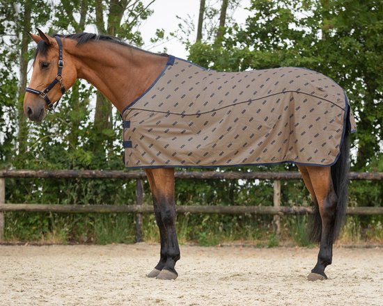 Bruine paard met de volledige beige 'FOCUS' vliegendeken, staand op een zandbodem.