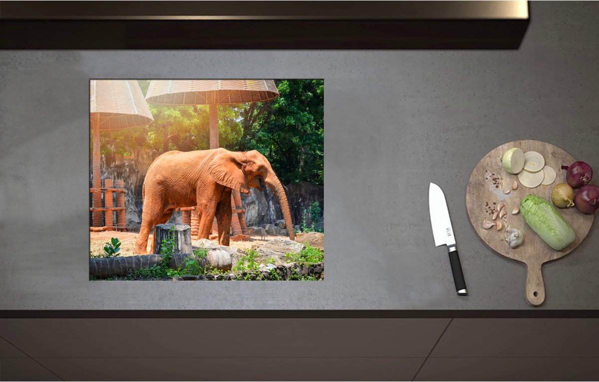 Inductieplaat Beschermer - Aziatische Lachende Olifant tussen de Planten - 59x51 cm - 2 mm Dik - Inductie Beschermer - Bescherming Inductiekookplaat - Kookplaat Beschermer van Zwart Vinyl