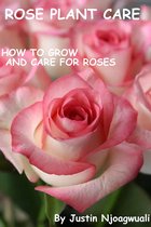 Rose Plant Care
