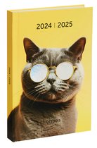 Brepols agenda 2024-2025 - AMICI - Dagoverzicht - Geel - Kat - 11.5 x 16.9 cm