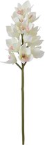 Witte kunstorchideestam H62