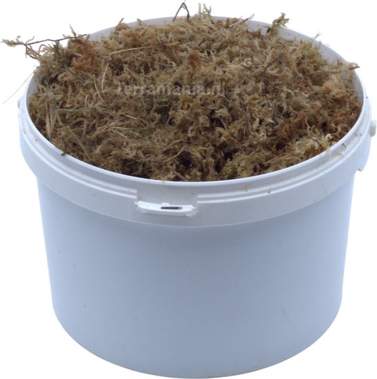 Witte emmer gevuld met bruin Sphagnum mos en takjes.