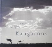 Mitsuaki Iwago's Kangaroos