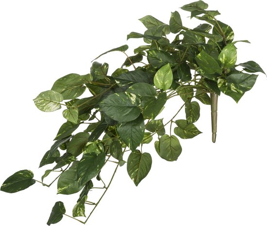 Kunstmatig groen en wit pothosblad H33