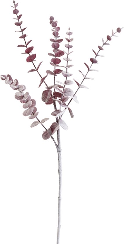 Kunstmatig besneeuwd rood eucalyptusblad H73