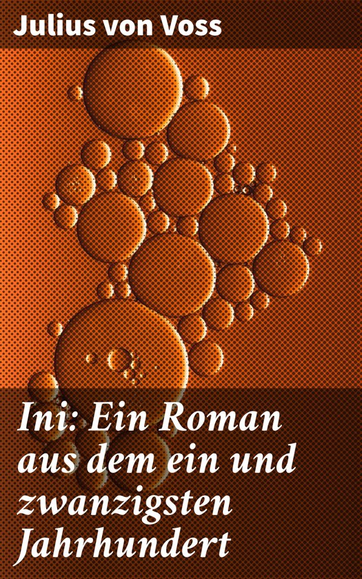 Ini: Ein Roman aus dem ein und zwanzigsten Jahrhundert - cover