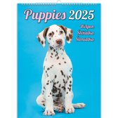 C181-25 Puppies-kalender 2025 + Gratis 2024-kalender
