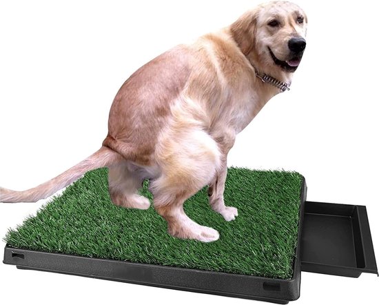 Sailnovo Hondentoilet, toilet, puppytoilet, gazon, hondentoilet, gras, trainingsmat, huisdier, toilet, wasbaar, 63 x 50 cm