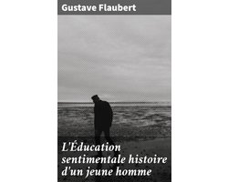 L'Éducation sentimentale histoire d'un jeune homme