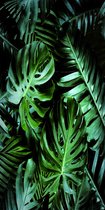 Strandlaken Monstera blad - microvezel - 100x180 cm