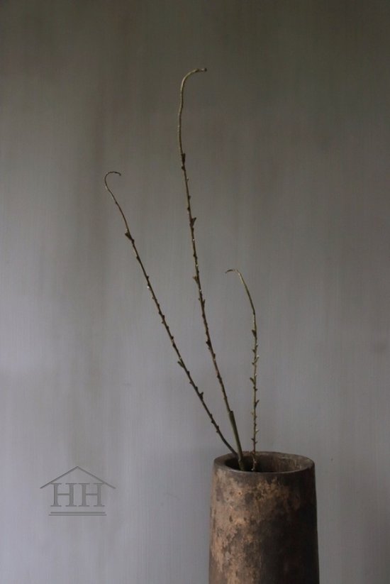 Kunsttak - twig - kleine kunsttakken - zijden kunsttak - bruin - 65 cm hoog