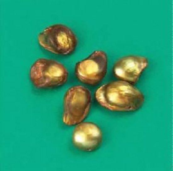 Perlin 50 Metallperlen Crystal Strass Ring Metall Spacer Beads 8mm Gold Farbe Rondell für Schmuckherstellung Perlin 50 Metallperlen Crystal Strass Ring Metall Spacer Beads 8mm Gold Farbe Rondell für Schmuckherstellung