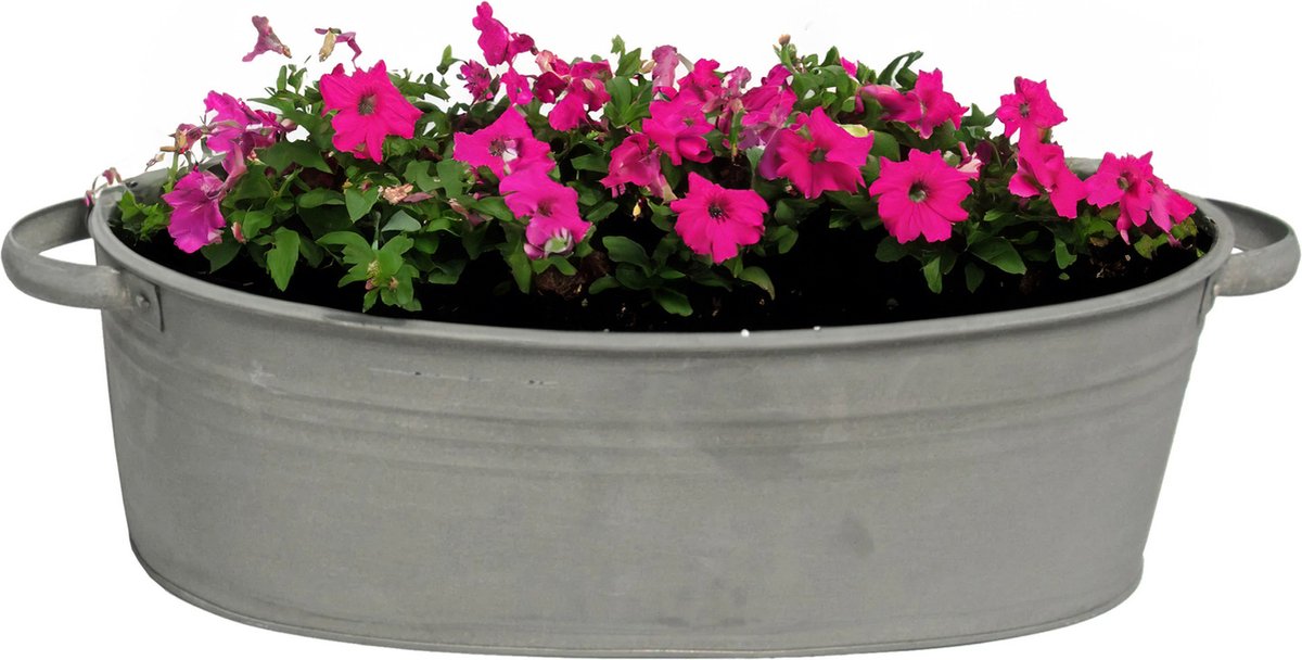 Goedkoopste Mega Collections Teil/plantenpot/bloempot Farmer - ovaal - zink - donkergrijs - L29 x D21 X H12.5 cm