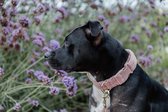 Kentucky Dogwear - Hondenhalsband - Teddy Fleece - Oude roze - XL 45-75cm