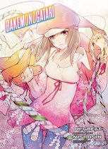 Bakemonogatari (manga), Volume 6