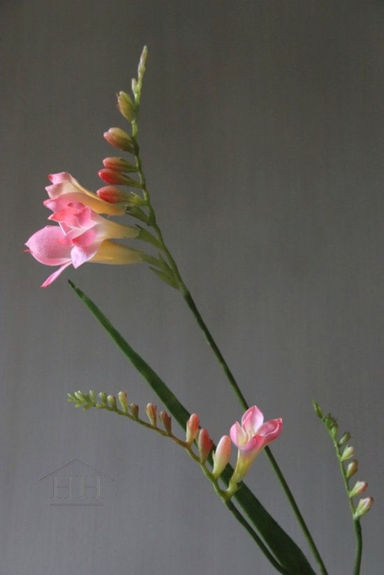 Kunstbloem freesia - zalm roze - neppe bloem - zijde - kunstbloemen - realistisch - 81 cm