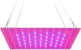 400 Watt Quantum Board LED Groeilamp en LED Bloeilamp - Extreem laag stroomverbruik - Kweeklamp LED full spectrum - Kweeklamp binnen