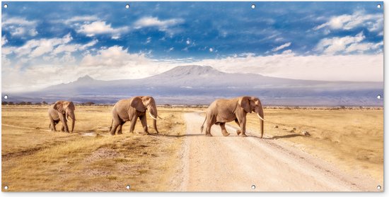 Schuttingposter Drie overstekende olifanten - 200x100 cm - Tuindoek