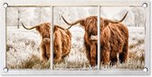 Tuinposter Schotse hooglander - Koe - Doorkijk - 60x30 cm - Tuindoek - Buitenposter