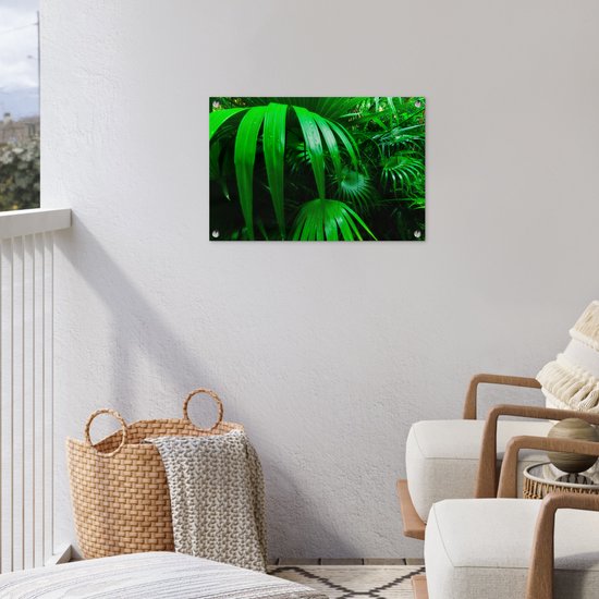 Affiche de jardin Feuilles de palmier dans la jungle 60x40 cm - petit - Toile de jardin / Toile d'extérieur / Peintures d'extérieur (décoration de jardin)