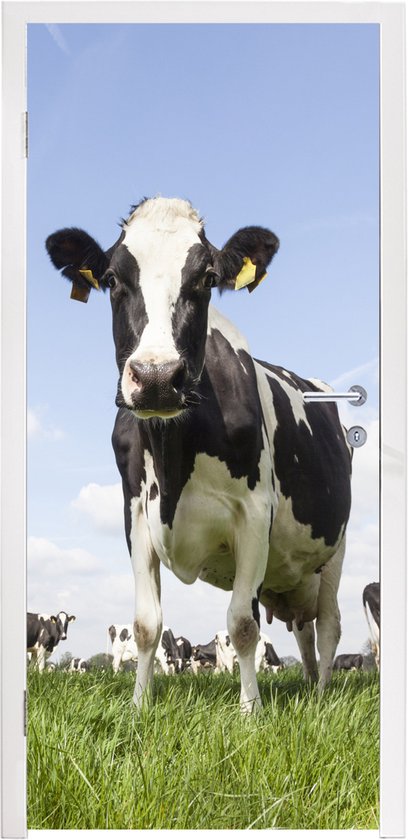 Sticker pour porte Vaches - Herbe - Animaux - Soleil - Ferme - 75x205 cm - Affiche de porte