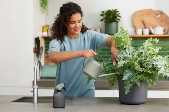 Elho B.for Soft Arrosoir 1.7 l - Arrosoir pour Intérieur - Ø 29.5 x H 17.2 cm - Vert pierre