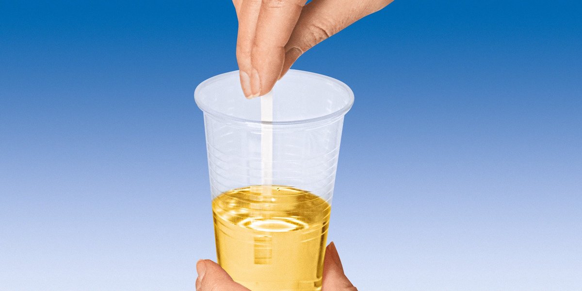 Goedkoopste Veroval® Zelftest Urineweginfectie- 2 testen