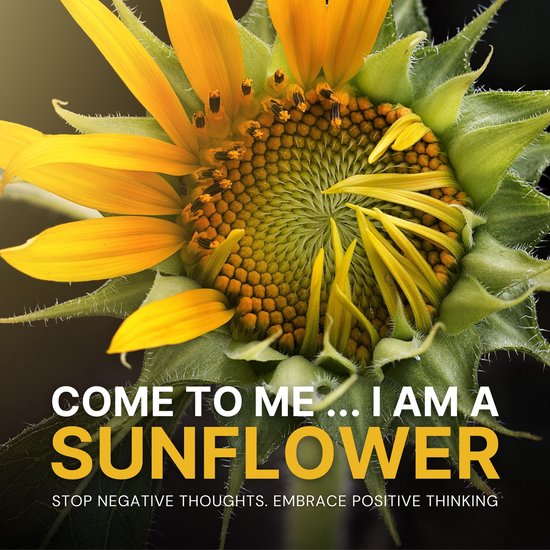 Come to Me: I Am a Sunflower - cover
