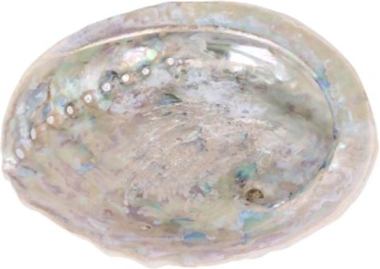 Abalone smudge schelp - parelmoer - 13-15 cm van Zenara.nl — afbeelding 5