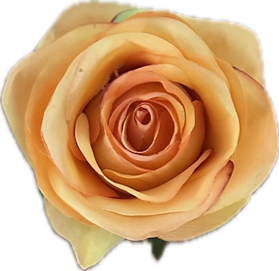 AMALIA ORANJE KUNSTROZEN - Rozenkoppen 24 stuks - Mooie Kwaliteit Kunstbloemen - Nepbloemen - Rozen zonder Steltjes - Kunstbloemen voor Decoraties/ Versieringen - DIY Bloemen - Rozen voor de Bloemenmuur