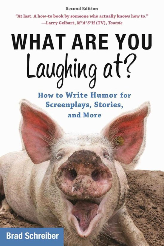 What Are You Laughing At? - cover