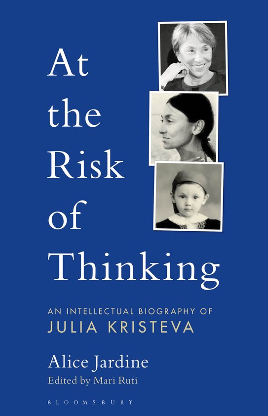 At the Risk of Thinking An Intellectual Biography of Julia K ... - cover