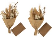 J-Line Bouquet Fleurs Sechees Emballage Papier Assortiment De 2