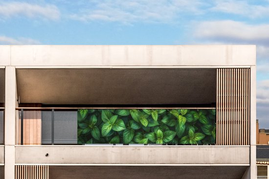 Balkonscherm 300x85 cm - Balkonposter Bladeren - Planten - Groen - Klimop - Balkon scherm decoratie - Balkonschermen - Balkondoek zonnescherm