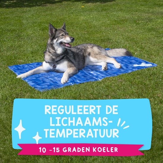 H.A.C. Coolpets Anti Slip Cover voor Koelmat 40 x 30 cm