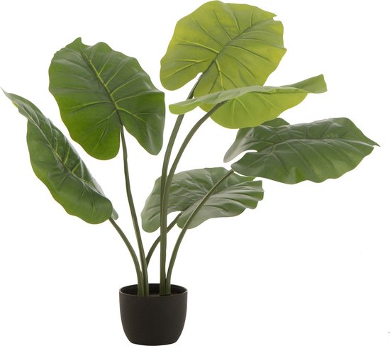 J-Line plant Taro Wild In Pot - kunststof - groen - small