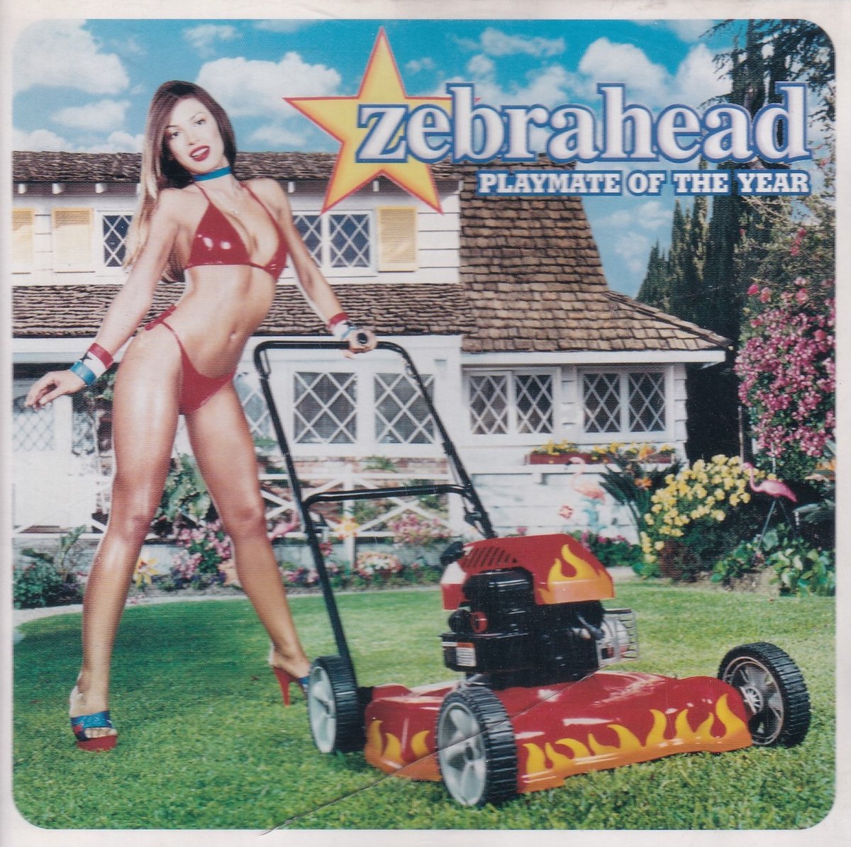Zebrahead - Playmate Of The Year