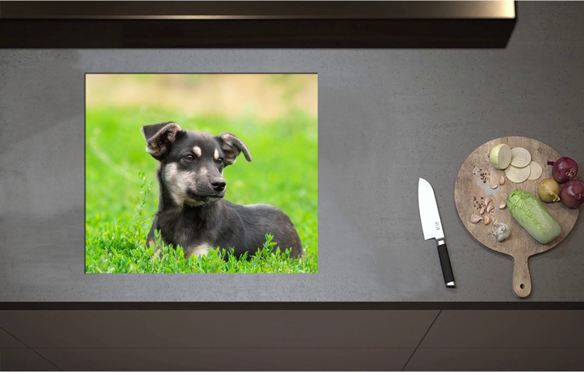 Inductieplaat Beschermer - Aandoenlijke Zwart met Bruine Puppy liggend in het Grasveld - 60x52 cm - 2 mm Dik - Inductie Beschermer - Bescherming Inductiekookplaat - Kookplaat Beschermer van Wit Vinyl