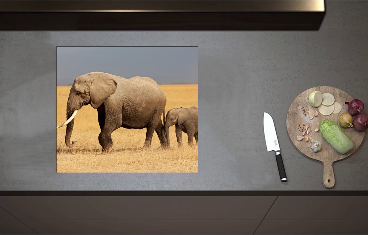 Inductieplaat Beschermer - Afrikaanse Olifant met Baby Olifantje - 58x52 cm - 2 mm Dik - Inductie Beschermer - Bescherming Inductiekookplaat - Kookplaat Beschermer van Zwart Vinyl