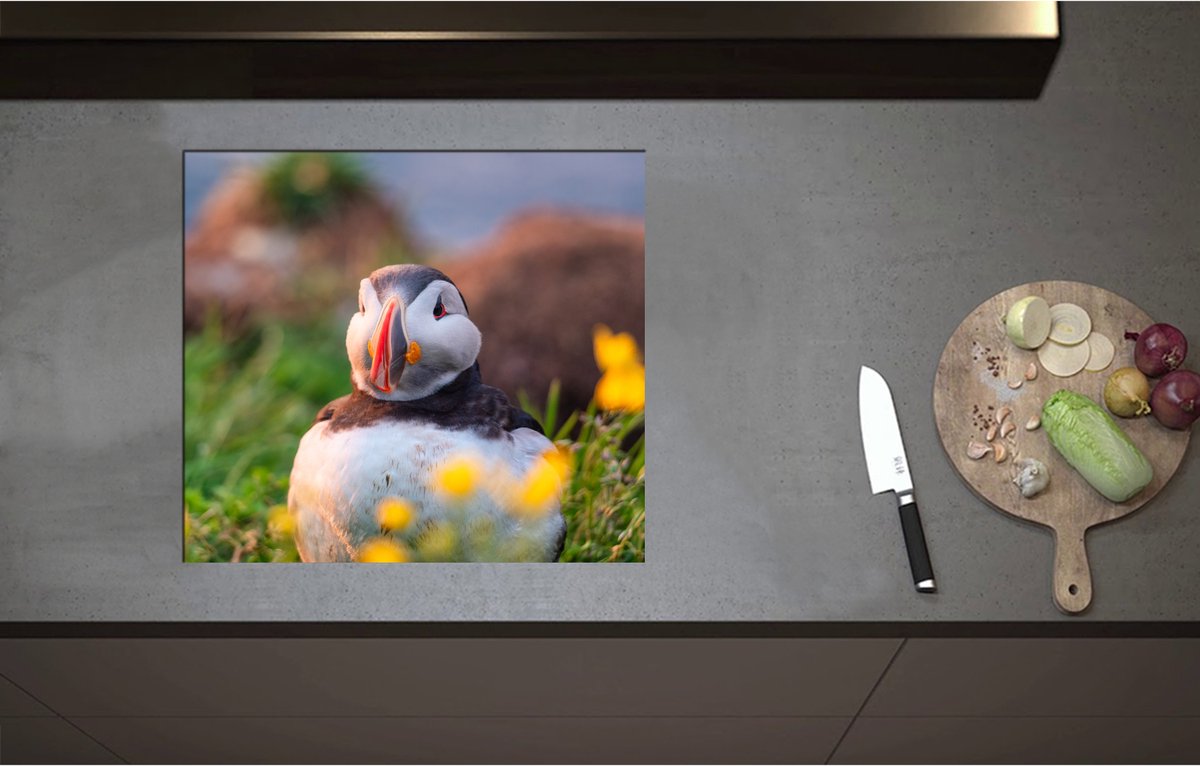 Inductieplaat Beschermer - Aankijkende Papegaaiduiker Vogel in Landschap met Gele Bloemetjes - 58x52 cm - 2 mm Dik - Inductie Beschermer - Bescherming Inductiekookplaat - Kookplaat Beschermer van Wit Vinyl