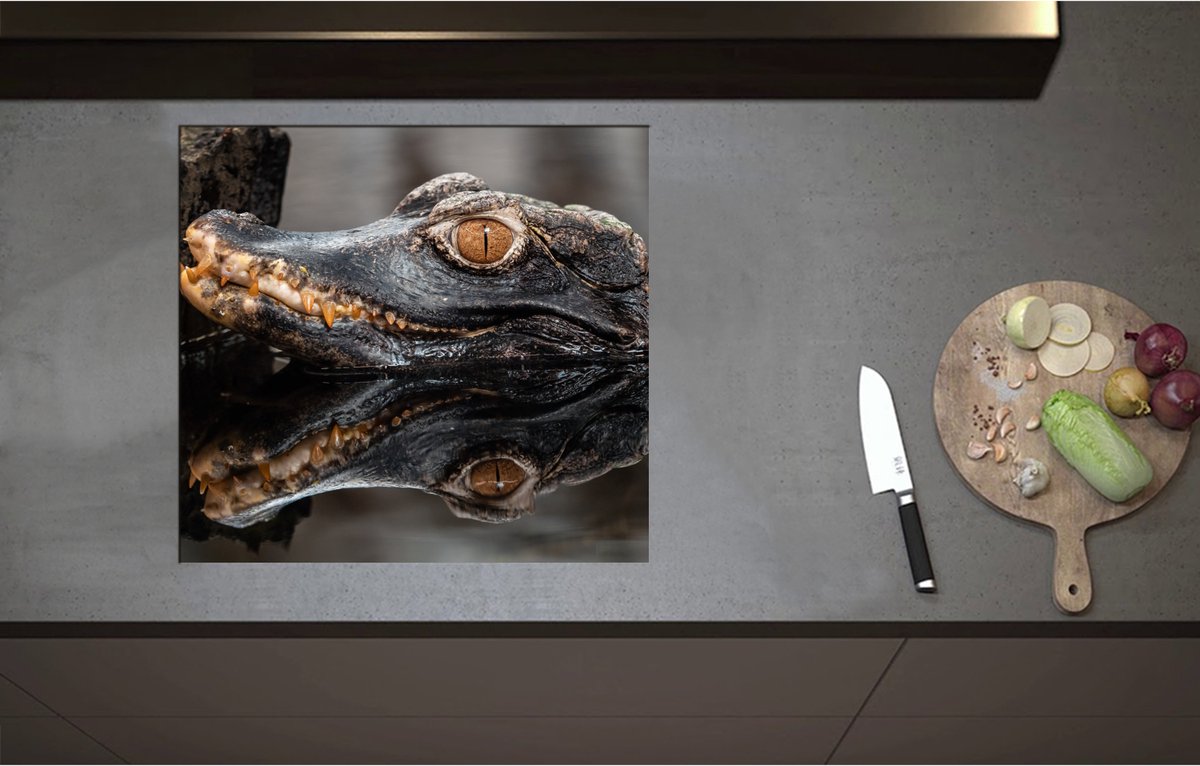 Inductieplaat Beschermer - Alligator Kop boven het Wateroppervlak - 59x55 cm - 2 mm Dik - Inductie Beschermer - Bescherming Inductiekookplaat - Kookplaat Beschermer van Zwart Vinyl