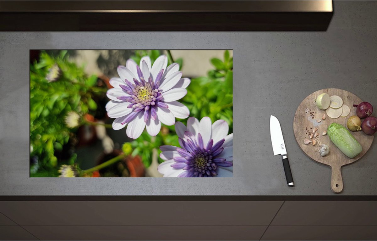 Inductieplaat Beschermer - African Daisy Bloemen Wit met Paars in Bloemenpot - 85x51 cm - 2 mm Dik - Inductie Beschermer - Bescherming Inductiekookplaat - Kookplaat Beschermer van Zwart Vinyl
