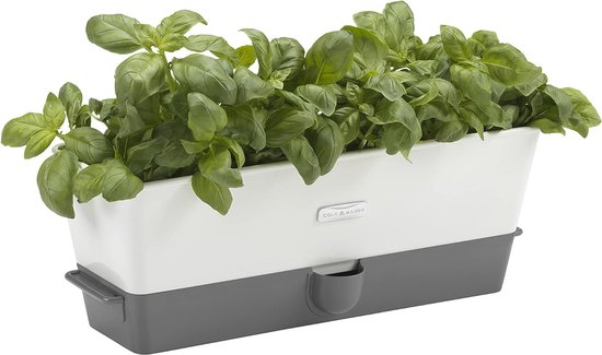 iDattel Kruidenpot, keukenset, vensterbank, zelfbewaterend, set van 3, kruidentuin voor de keuken, 18,2 x 11 x 15,3 cm, voor verse keukenkruiden, wit iDattel Kruidenpot, keukenset, vensterbank, zelfbewaterend, set van 3, kruidentuin voor de keuken, 18,2 x 11 x 15,3 cm, voor verse keukenkruiden, wit