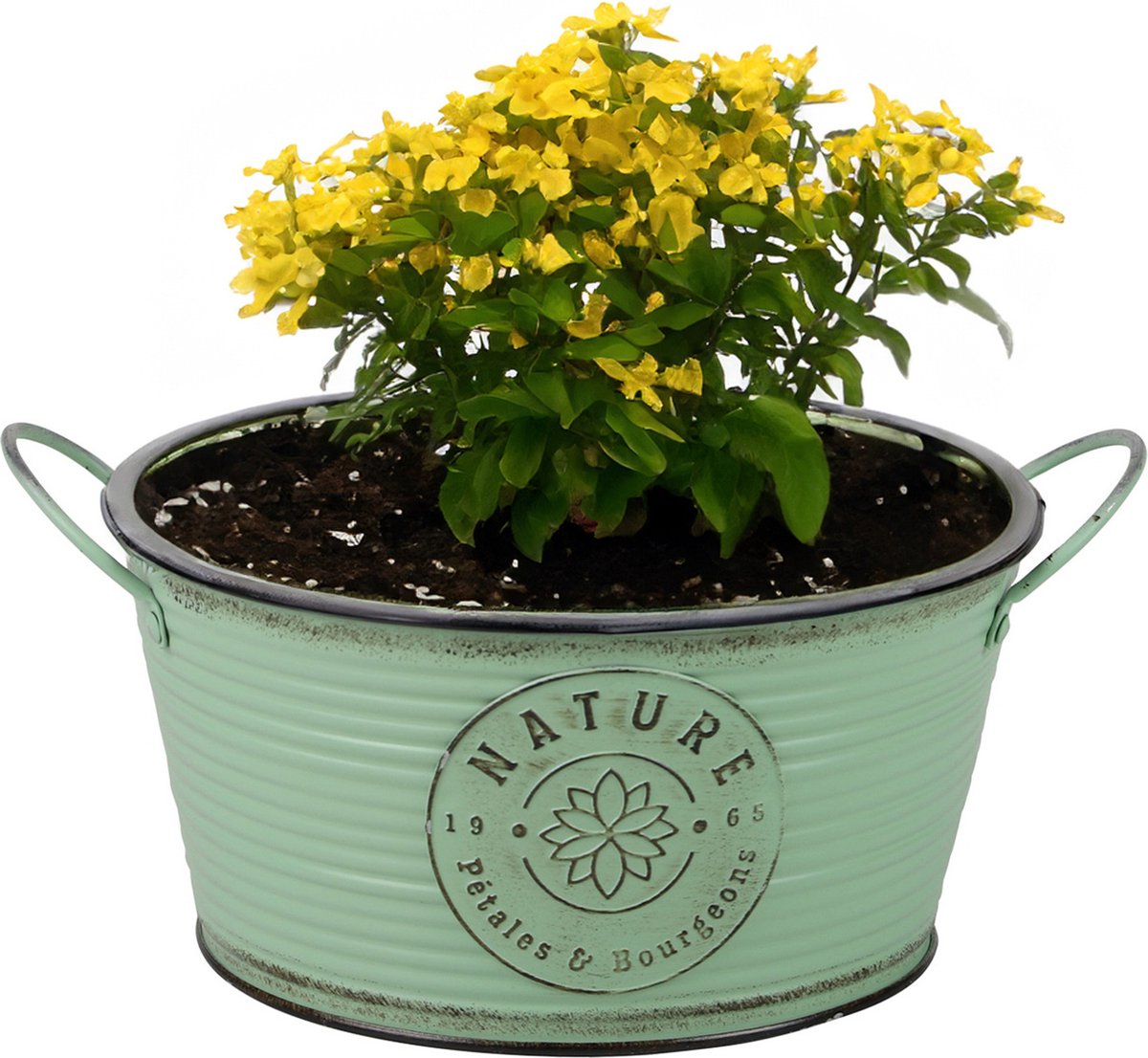 Goedkoopste Sunnydays Teil/plantenpot/bloempot - zink - rond - jadegroen - D25 x H12 cm