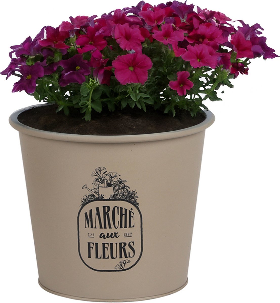 Goedkoopste Sunnydays /plantenpot/bloempot - zink - taupe - D19 x H16 cm