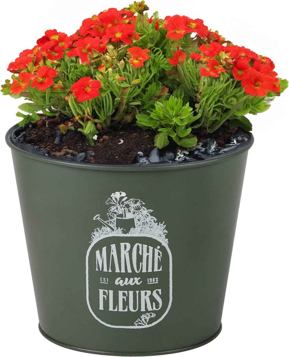 Goedkoopste Sunnydays /plantenpot/bloempot - zink - legergroen - D17 x H14 cm