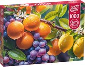 Sunny Fruits Puzzel 1000 Stukjes